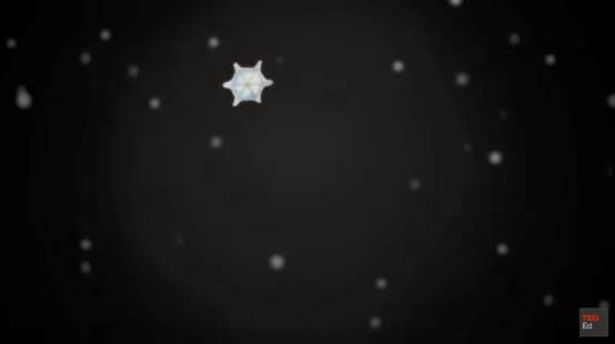 Science of Snowflakes Video Link